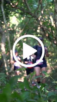 BIB:  <button type="button" onclick="openModal(28063714)" class="btn btn-primary btn-sm float-right" data-toggle="modal" data-target=".modal-high-quality">
                <i class="fa fa-download"></i> Download
                </button>